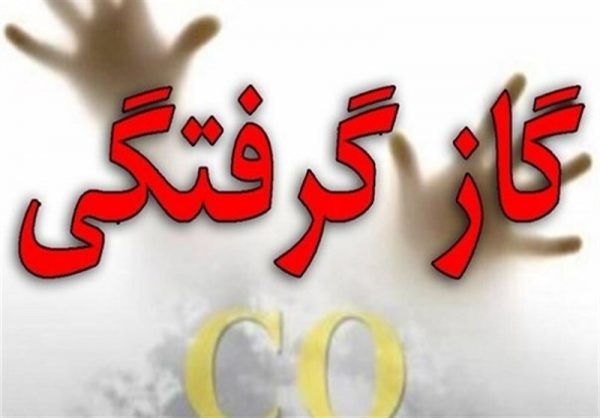 نقص وسایل گرمایشی و دودکش بیشترین علت بروز گاز گرفتگی رعایت نکردن موارد ایمنی در استفاده از وسایل گرمایشی و آبگرمکن، موجب مسمومیت با گاز مونوکسید کربن شده و در نهایت منجر به مرگ می‌شود.