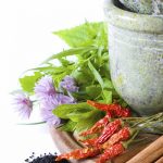 معاون آموزشی وزارت بهداشت ابلاغ کرد؛  ارائه درس آشنایی با مبانی طب سنتی و مکمل به دانشجویان علوم پزشکی