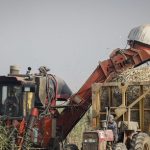 برداشت نیشکر در خوزستان به ۲.۴ میلیون تن رسید