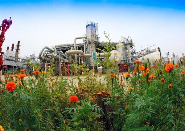 بر اساس مصوبه هیئت وزیران دولت سیزدهم اجرای طرح‌های بدون مجوز محیط زیستی را ممنوع کرد