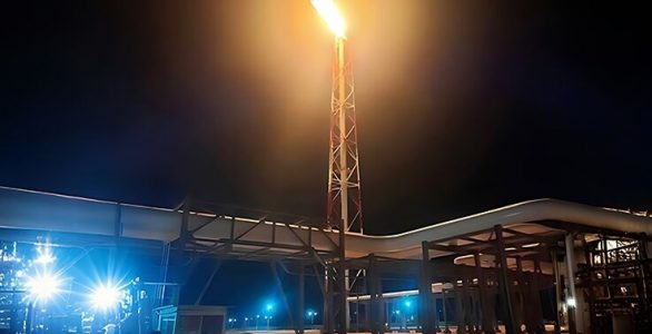 ظرفیت برداشت پایدار در آزادگان جنوبی ارتقا می‌یابد