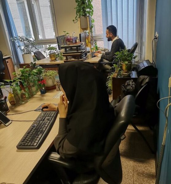 یک عضو کمیسیون اجتماعی مجلس پاسخ داد طرح ساماندهی استخدام کارکنان دولت چه آورده‌ای برای کارمندان دارد؟