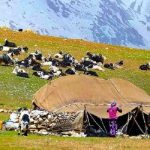 مدیر کل امور عشایر استان خبر داد  اختصاص ۲۰۰ میلیارد تومان از محل عوارض آلایندگی به عشایر خوزستان